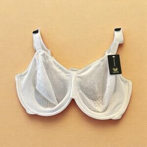 Wacoal Minimizer Bra 44DD Sheer Lace Underwire White 3 Hooks Style #857210 NWT